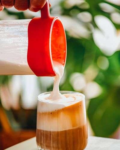 Milk Frother Category Hero